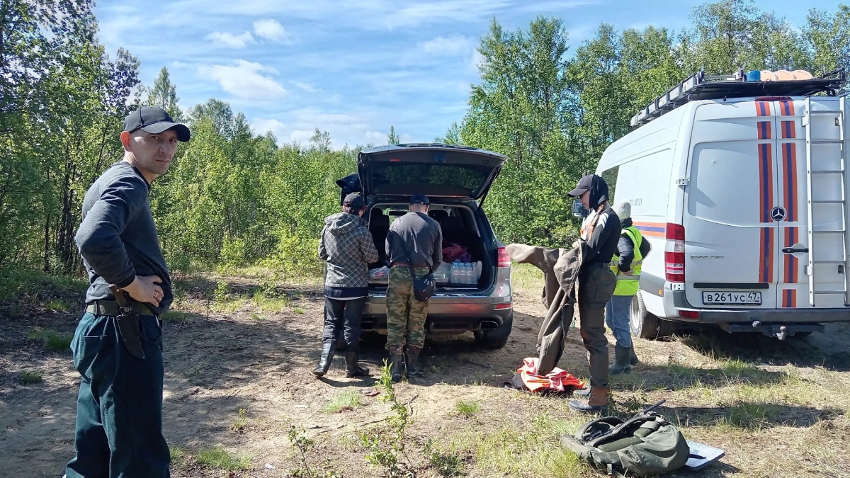 Поиски пропавшей в лесу