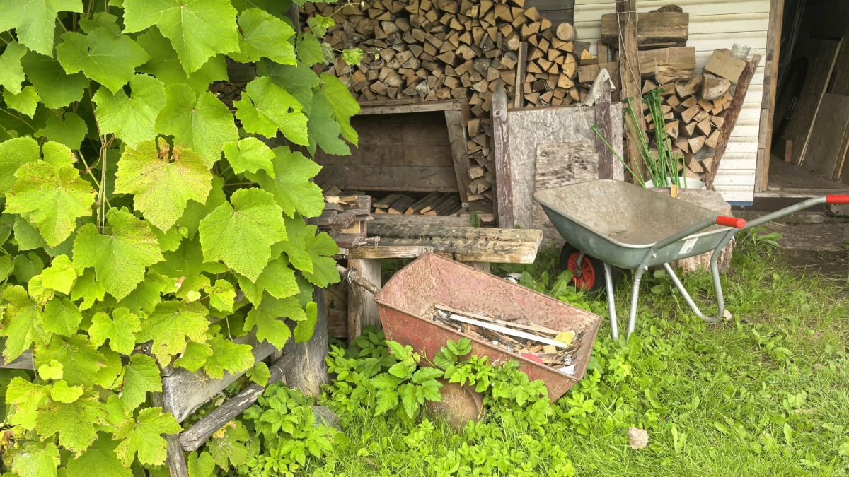 Дрова на даче