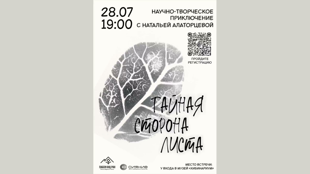 афиша мероприятия