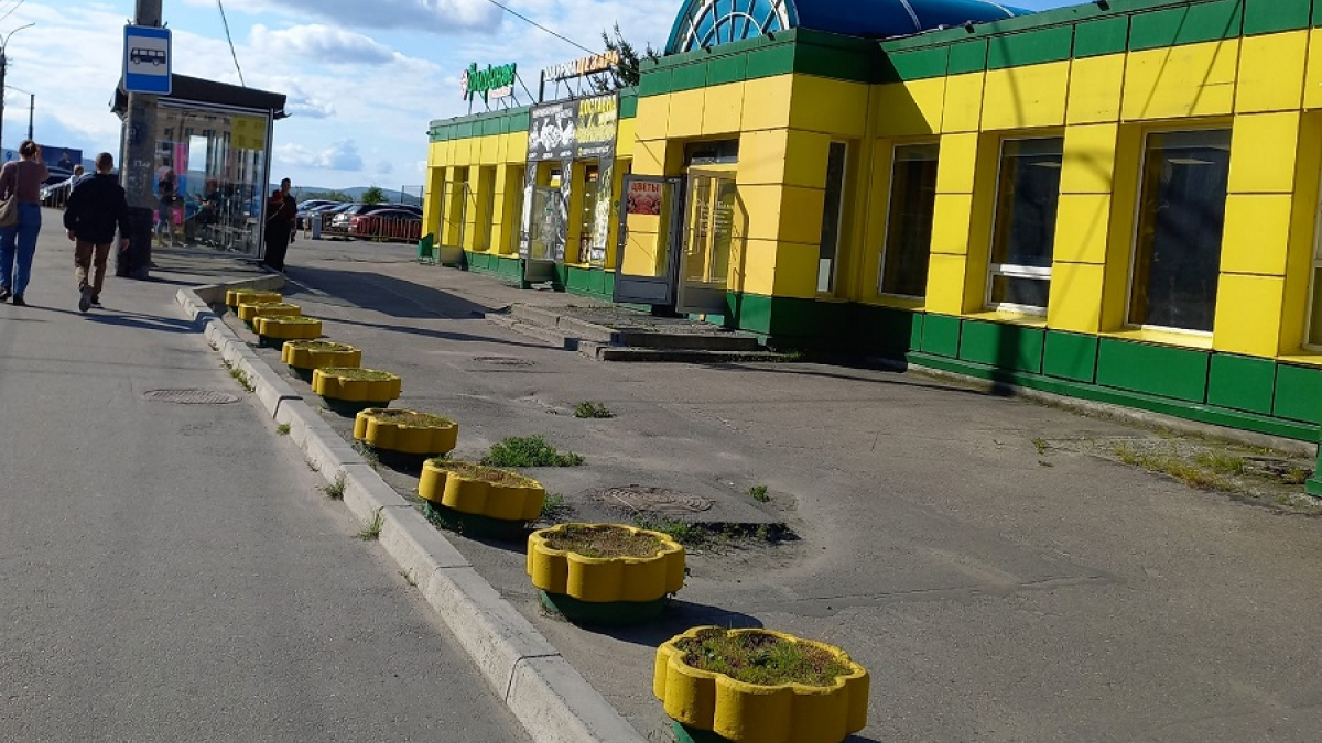 вазоны без цветов