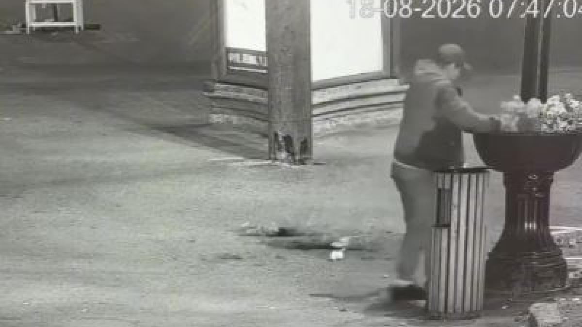 вандал в мурманске
