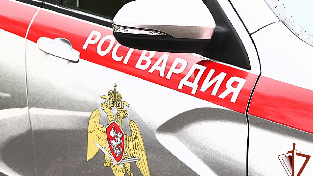 надпись Росгвардия на автомобиле