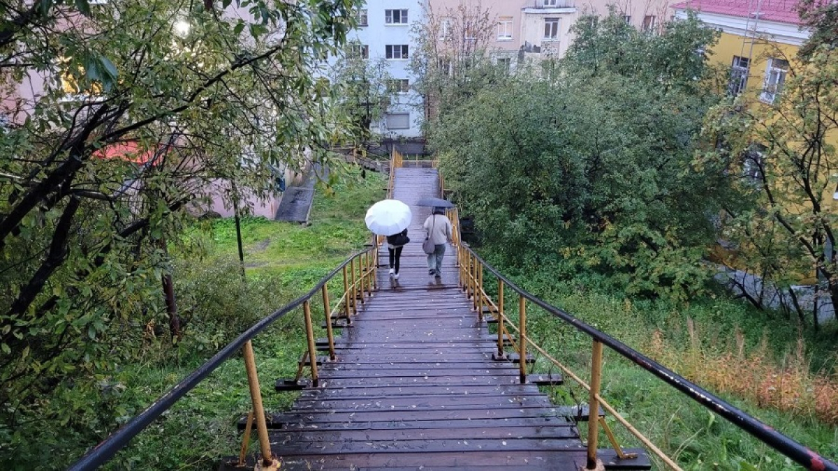 люди идут с зонтами