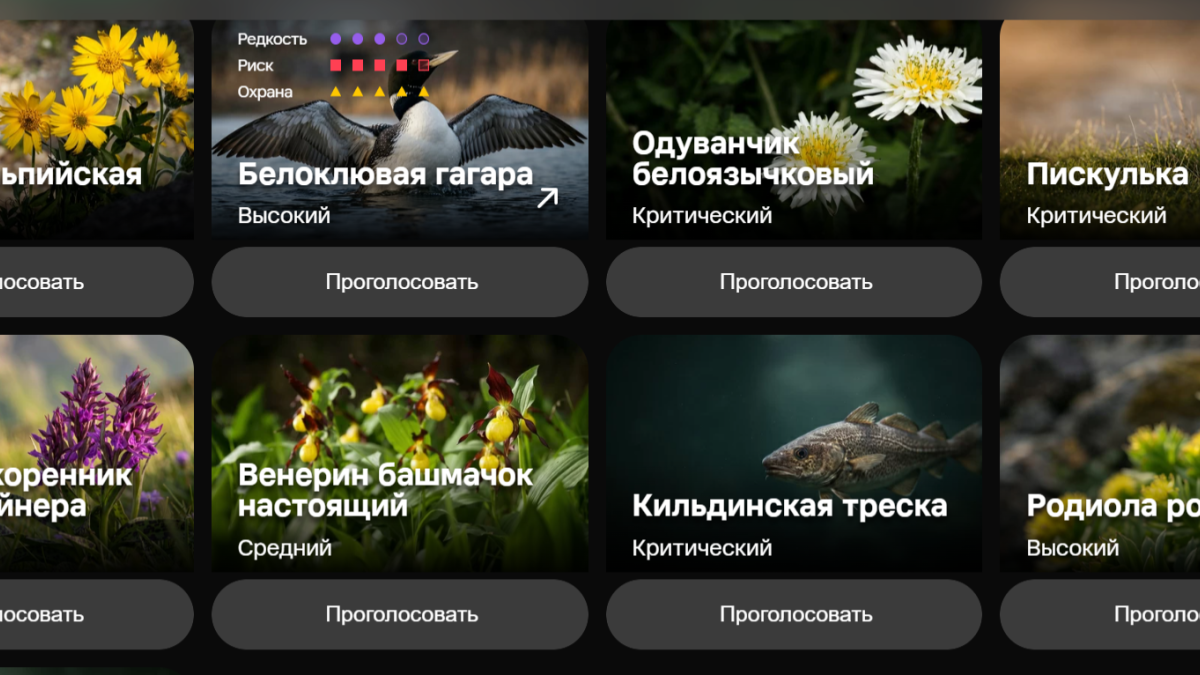 Голосование за животных и растения