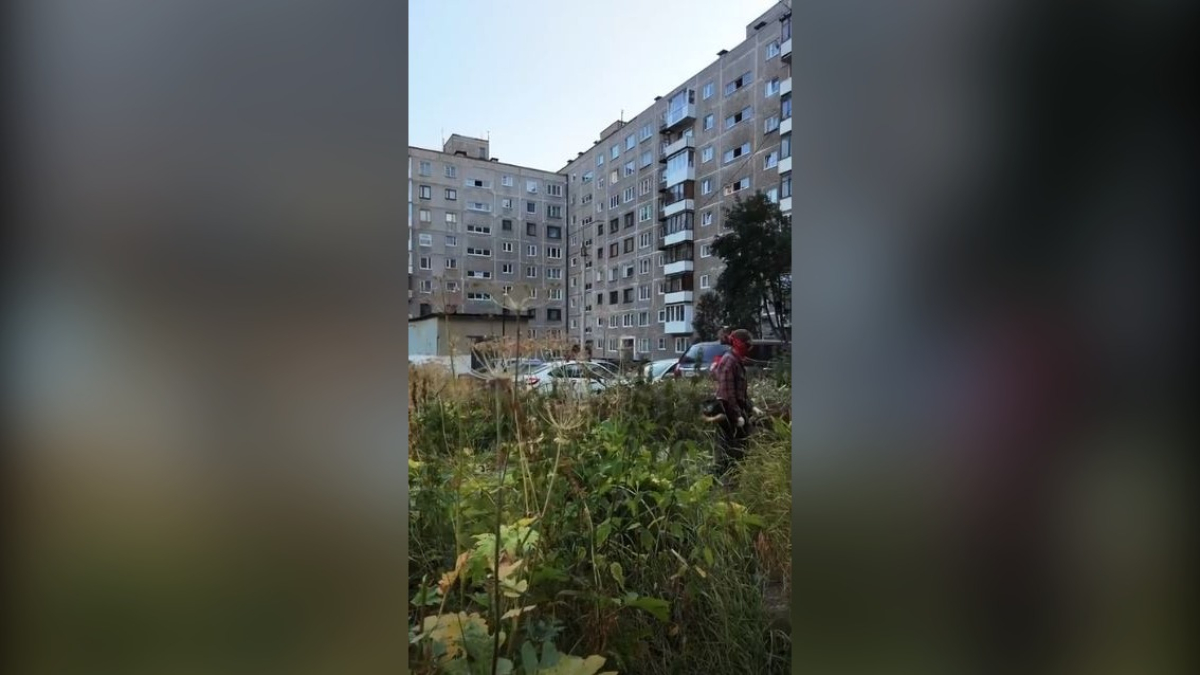 рейд