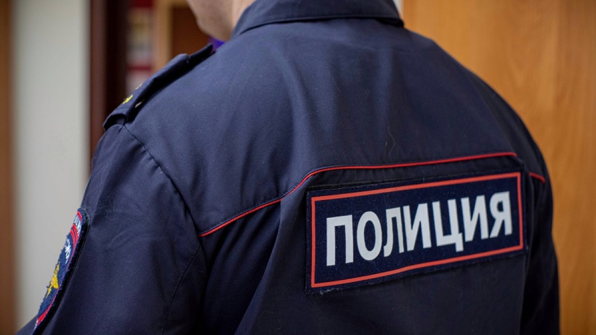 нашивка полиция на спине