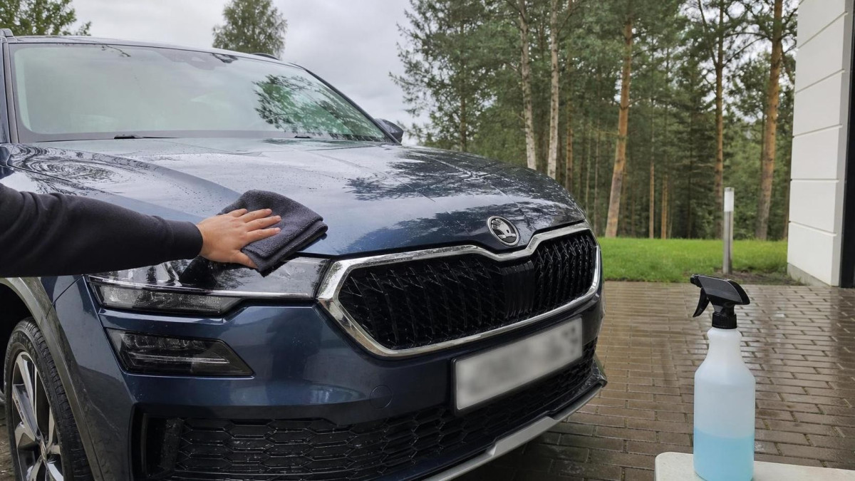 Удаление смолы и следов насекомых с кузова автомобиля