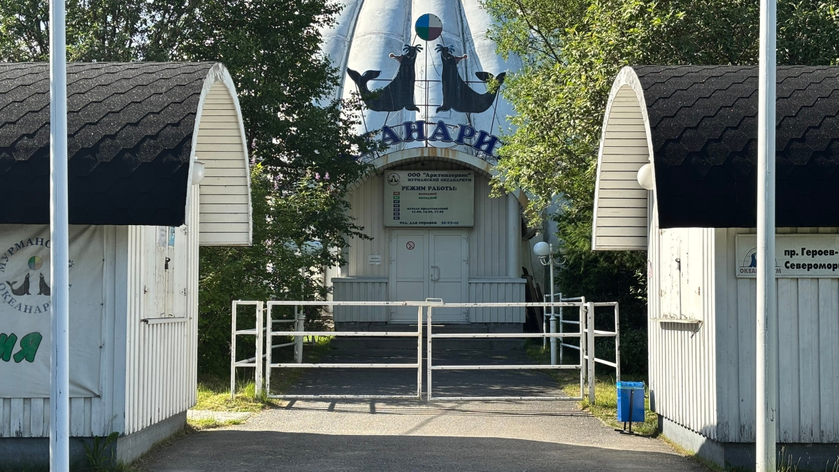 Мурманский океанариум
