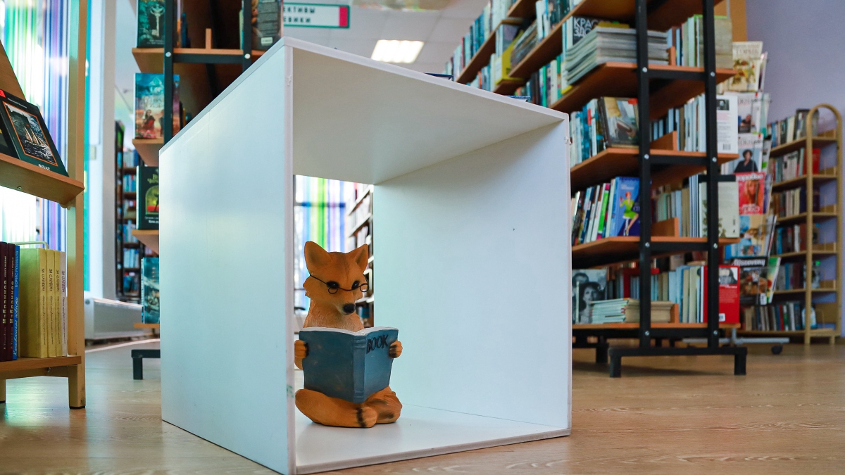Книги на стеллажах