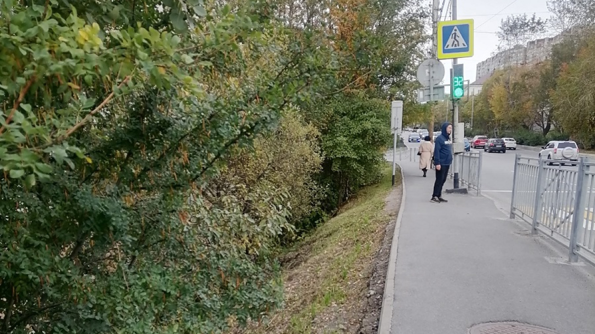 пешеход стоит возле светофора