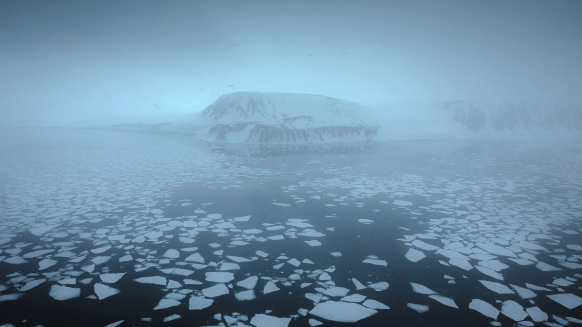море