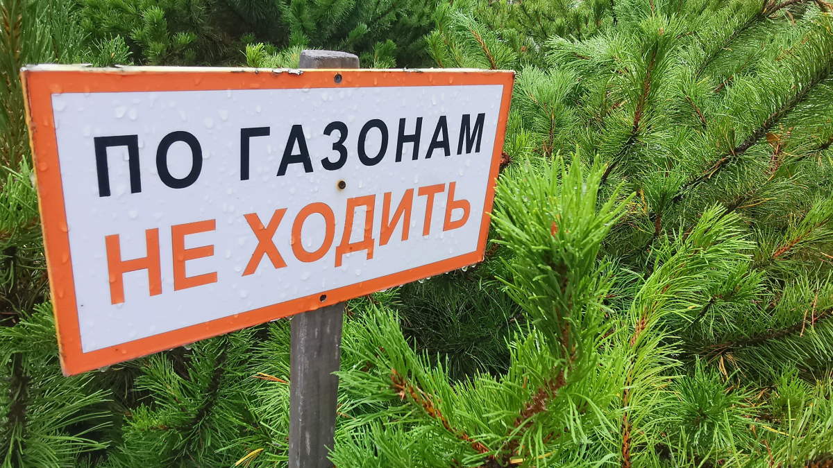 Не ходить