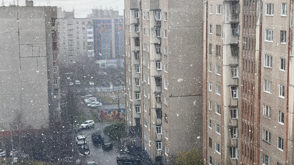 первый снег в городе
