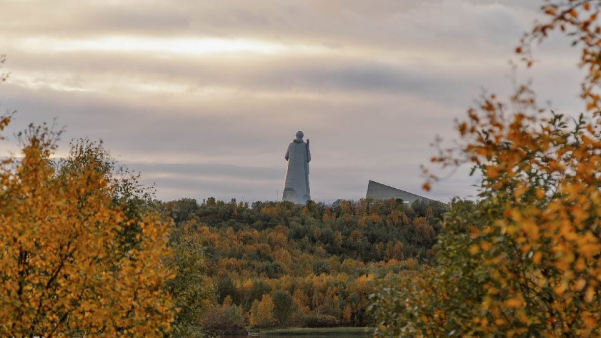 алеша мурманский