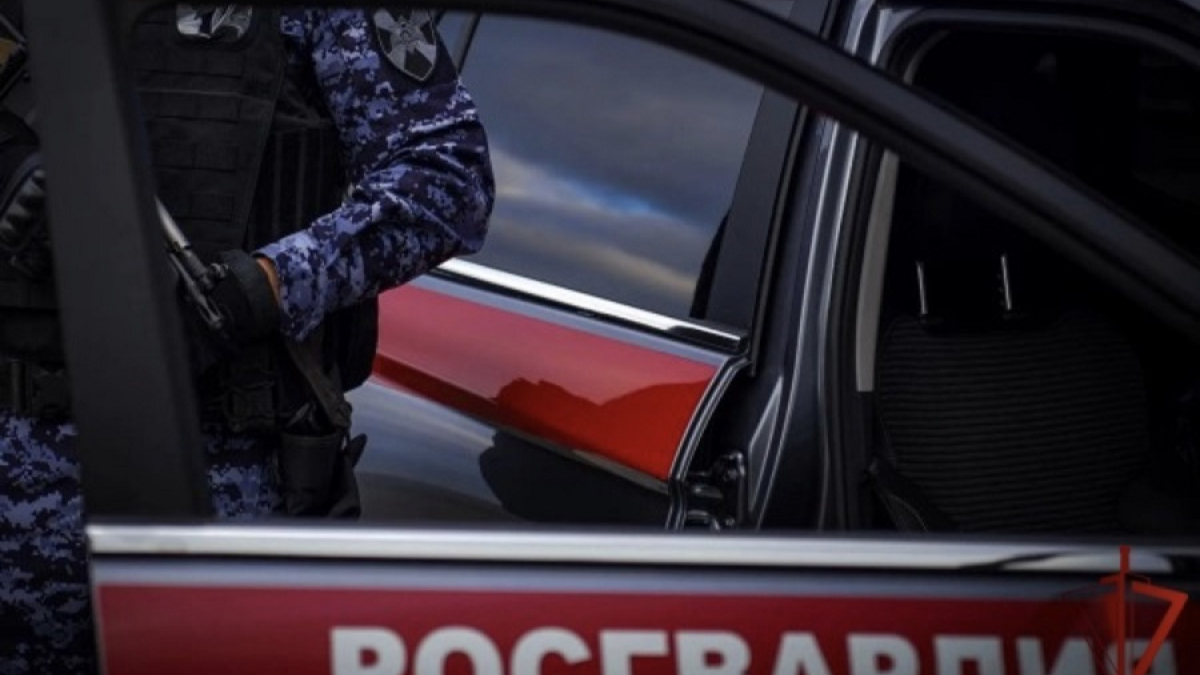 наклейка Росгвардия на машине