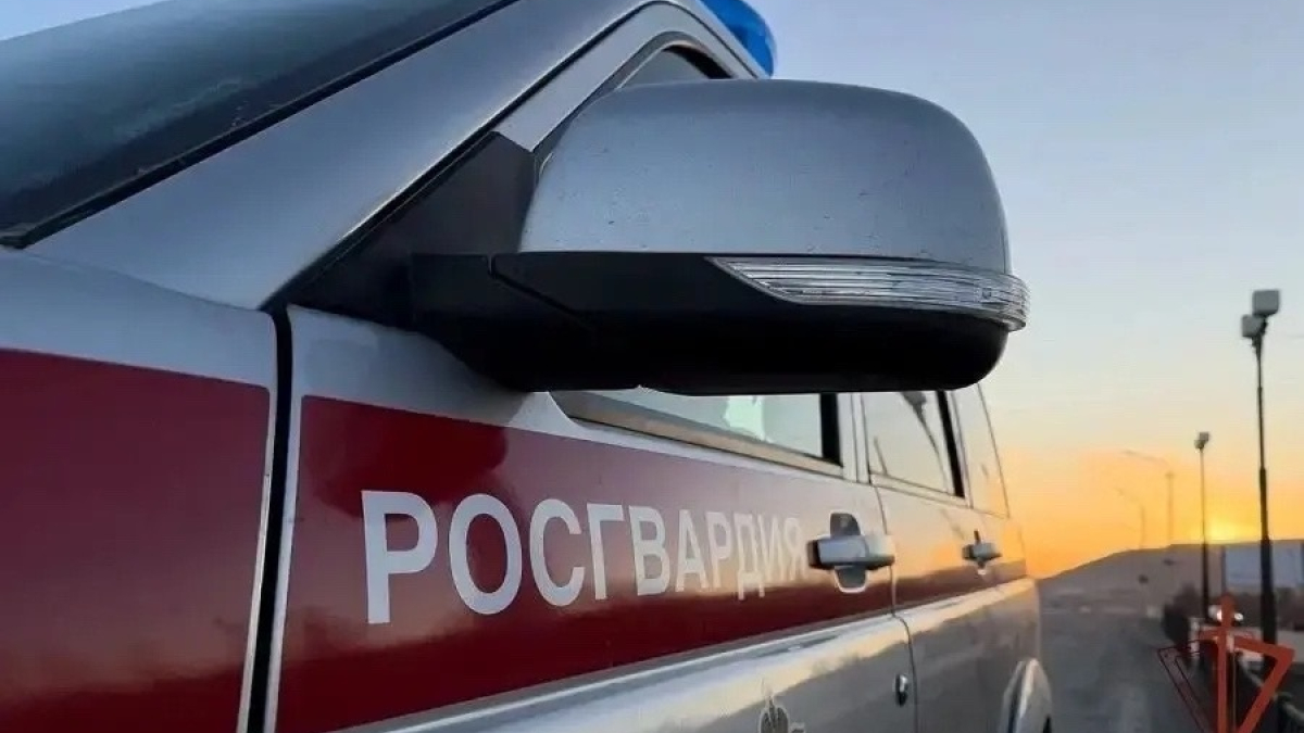 машина Росгвардии едет на вызов
