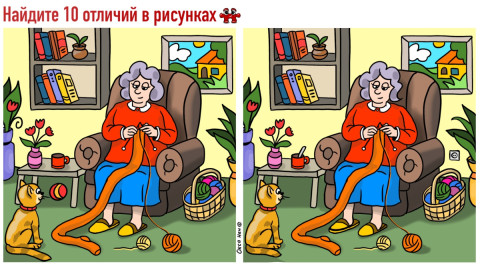 Бабушка вяжет шарф