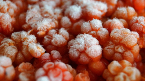 Замороженная морошка