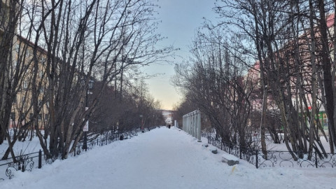 зимняя аллея без прохожих