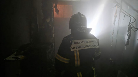 пожарный борется с огнем