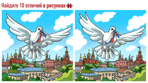 Голубь летает над Москвой