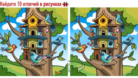 Птицы живут в многоэтажном скворечнике