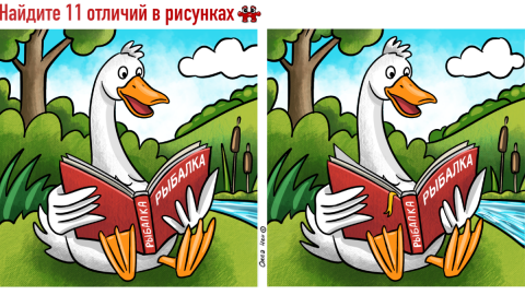 Утка читает пособие по рыбалке