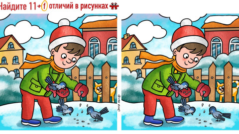 На рисунке мальчик кормит птиц зимой