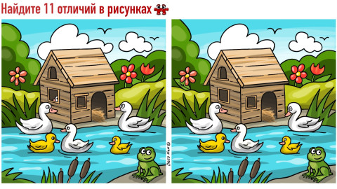 Рисунки с уточками в пруду