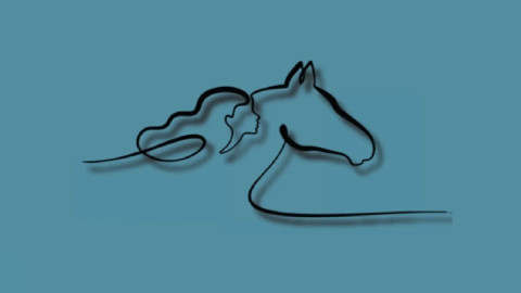 силуэты из проволоки