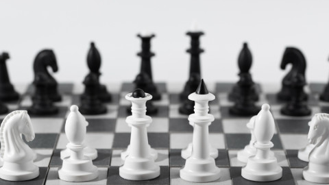 шахматная партия