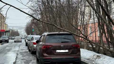 дерево упало на крышу машины