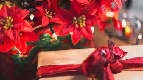 Цветок и подарочная коробка