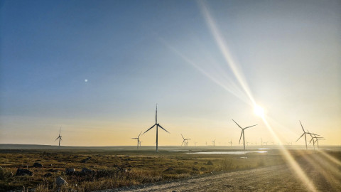 Тундра в Териберке