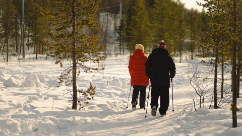 люди зимой гуляют в лесу