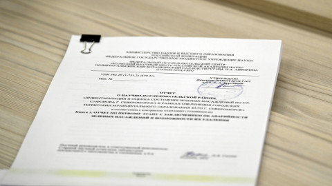 Отчет о рябинах