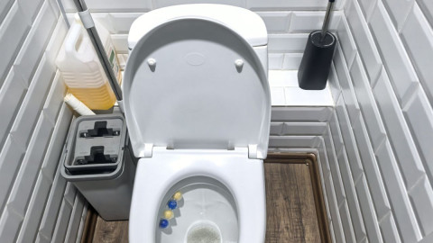 Унитаз и ершик