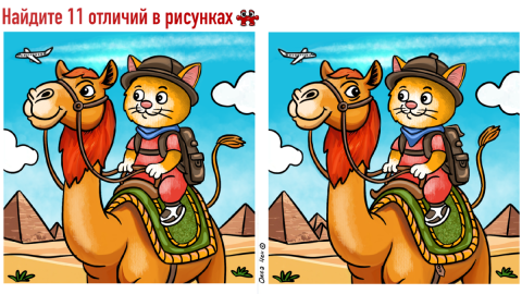 Картинка с котиком на верблюде