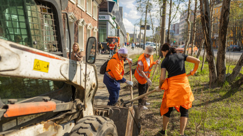 Школьники работают в Мурманске