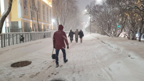 люди идут по улице зимой