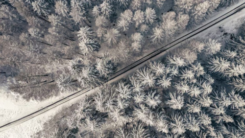 Железная дорога посреди деревьев