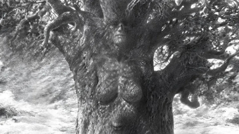 оптическая иллюзия с деревом