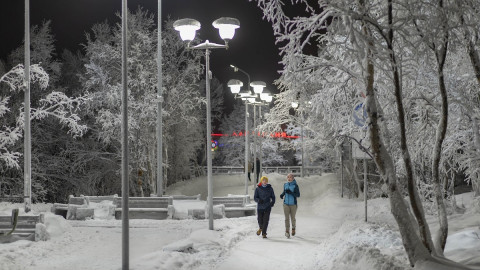 люди бегут по зимней аллее