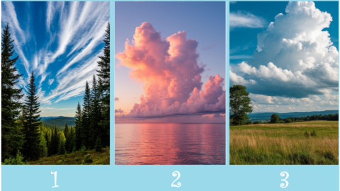 три пейзажа