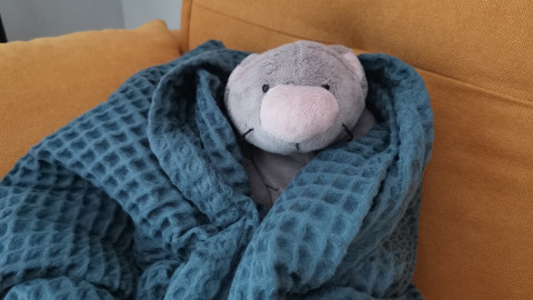 плюшевый мишка в пледе