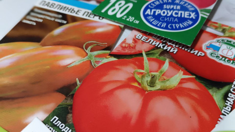 Семена томатов