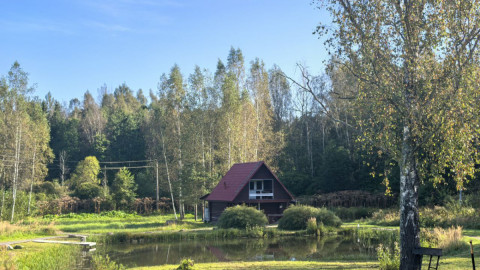 Дом и деревья вокруг