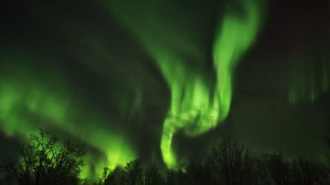 Сияние в Мурманской области