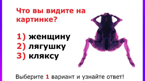 размытый рисунок с лягушкой