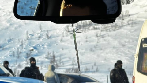 Вид из окна авто